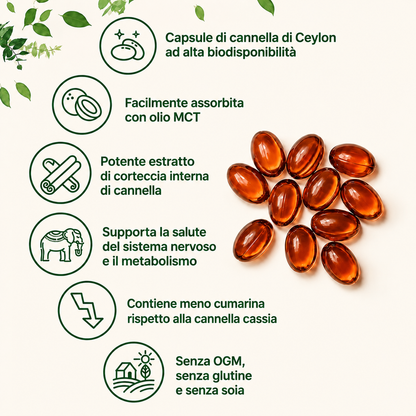 NutriVitta Cannella di Ceylon 7200 mg equivalente con olio MCT